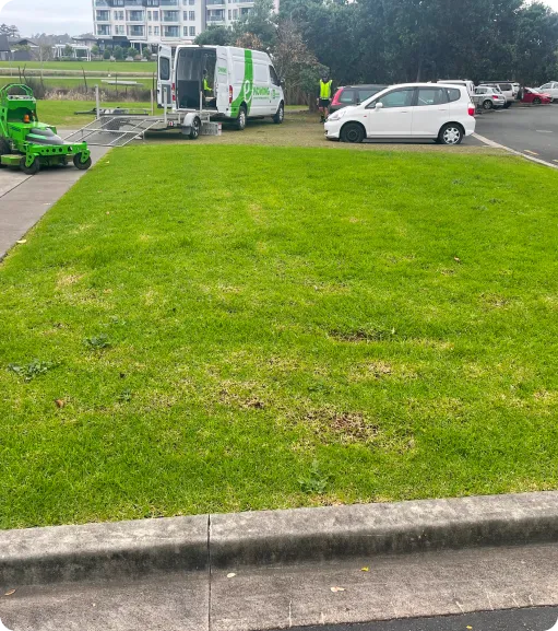 garden-care-and-landscaping
